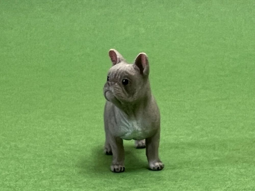 Schleich 13877-1 Französische Bulldogge Sonderedition Hund (Neu