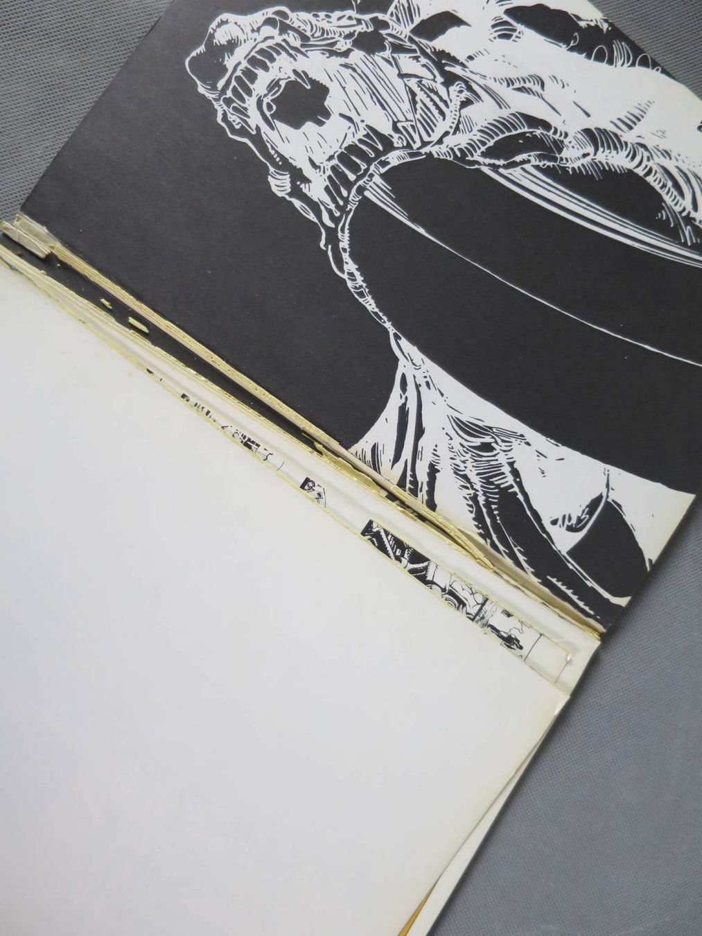 Libri: Alien d. Geschichte im Bild – Difettoso da Zürich venduto da 1.Simon 5