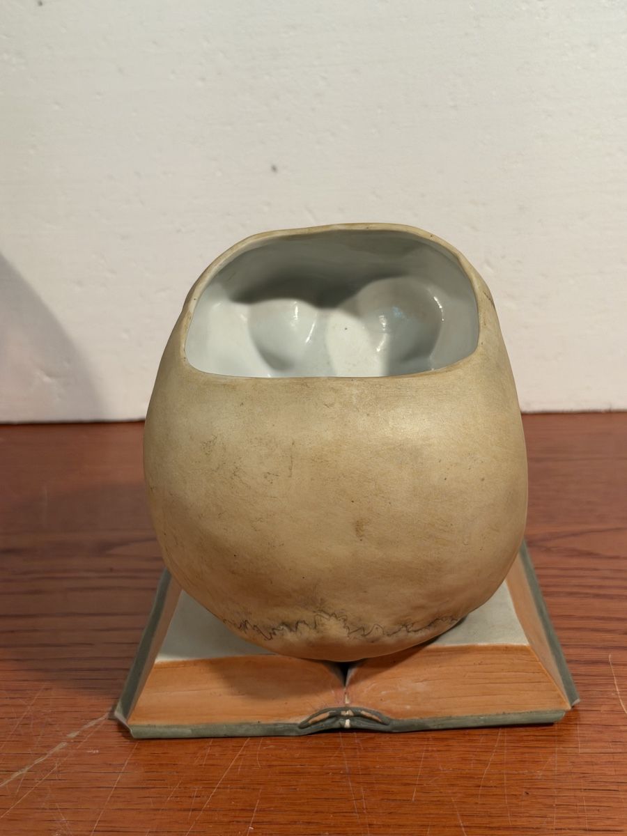 Tutte le decorazioni: Skull Decor ceramic Bookends Realistic Human Skull Model – Usato da Lausanne venduto da vas_mbk2 2