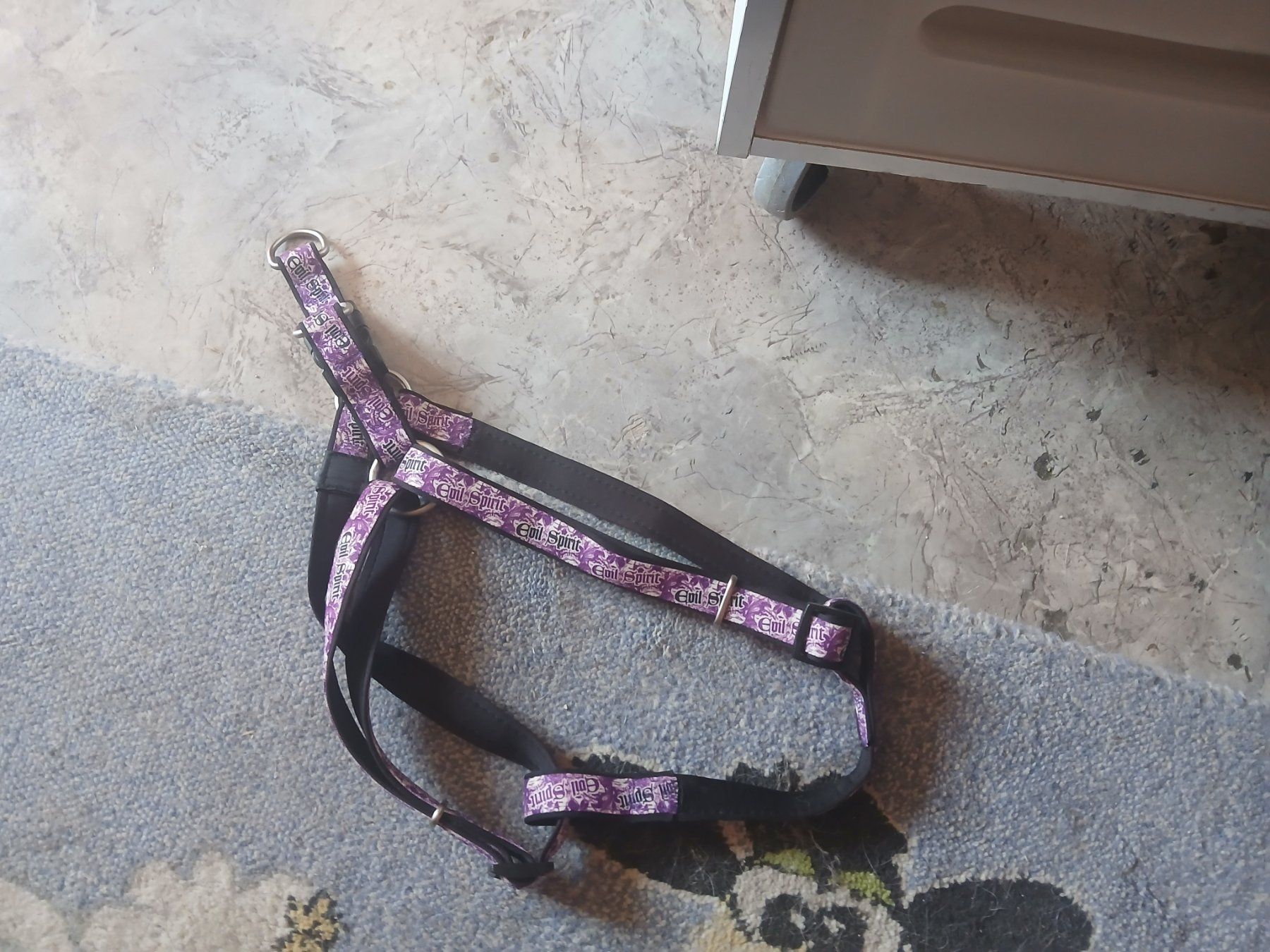 Swisspet Collier et laisse: Geschirr Hund – Neuf (Voir description) à Oberramsern par lal_7v57 1