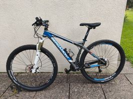 Bergamont Revox 6.1