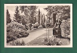 INSEL MAINAU - im Schlosspark - 1952