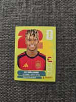 Panini ESP 17