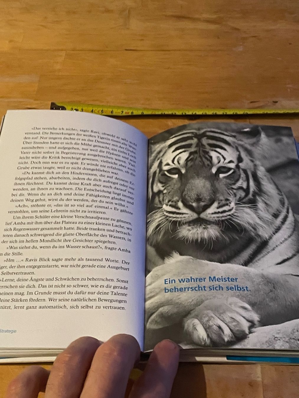 Bücher: Lothar Seiwert - Die Tiger Strategie – Gebraucht aus Sent von ManuelB07 3