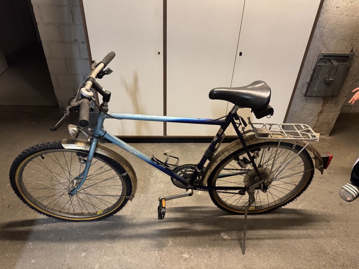 Velos: Allegro Bike – Gebraucht aus Meisterschwanden von Scania78