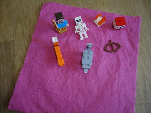 LEGO MINECRAFT 21162 | Kaufen auf Ricardo