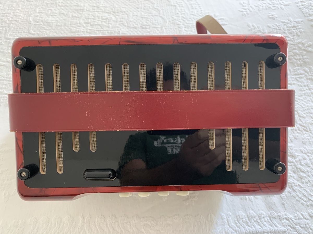Hohner Strumenti musicali: Diatonische Handorgel Hohner – Usato da Zürich venduto da Olimpied 3