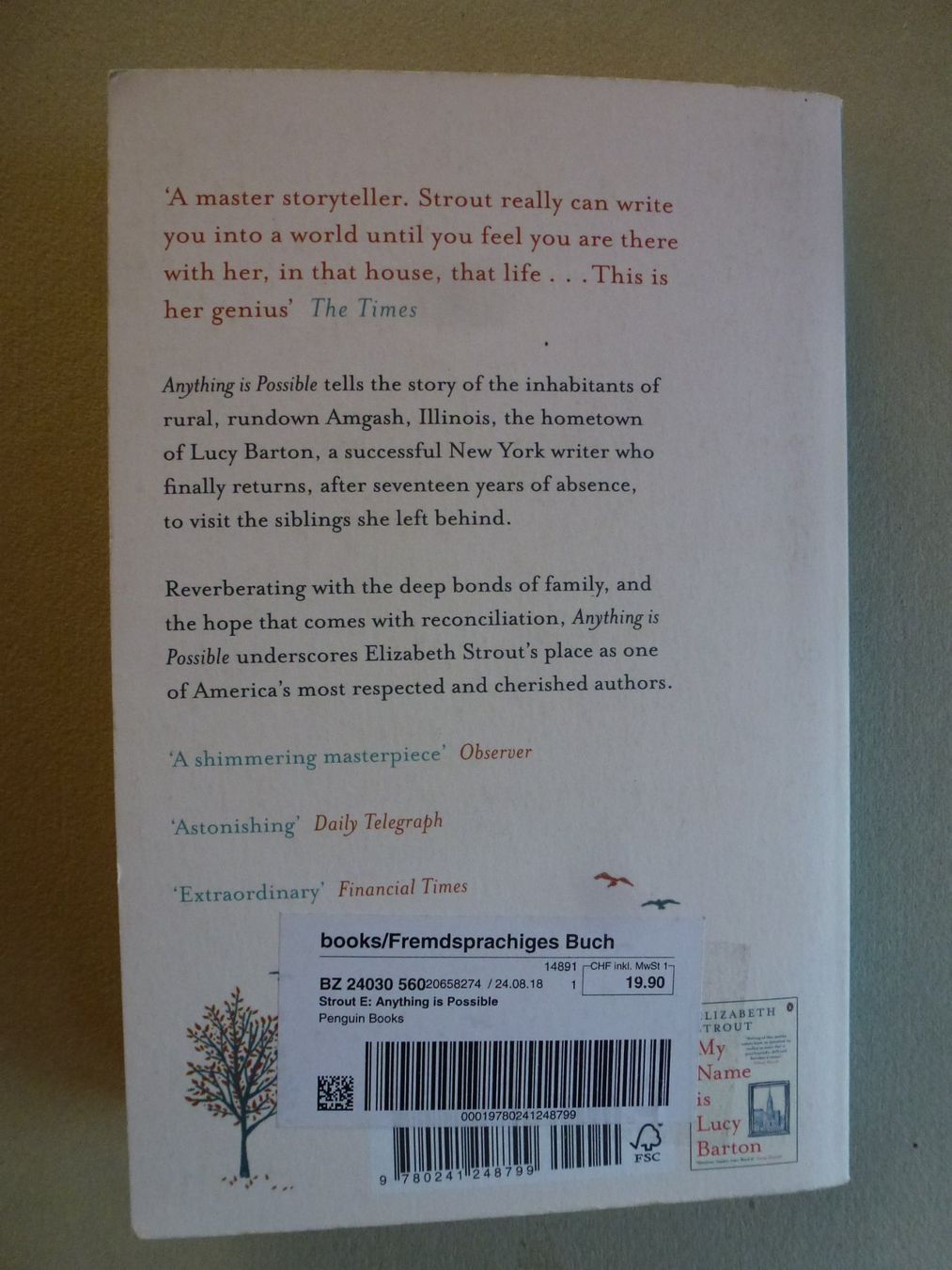 Bücher: Anything is Possible - Elizabeth Strout – Gebraucht aus Mühlrüti von Dadadachs 8