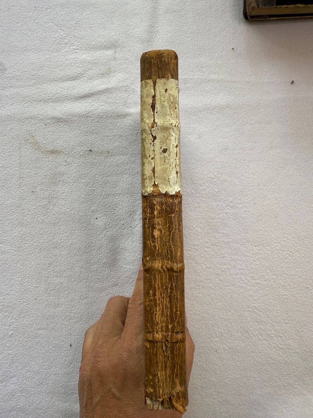 Libri: Handgeschriebene Buch 1791 – Usato da Bern venduto da xberg36 4