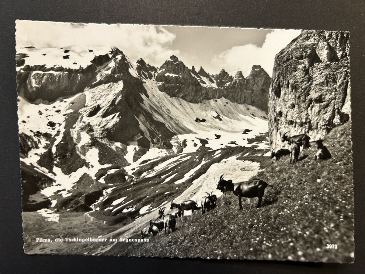 Cartoline postali: Flims Geissli am Segnespass – Usato da Fanas venduto da Alessio11