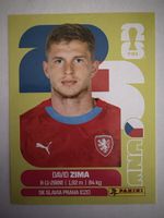 Panini CZE 8