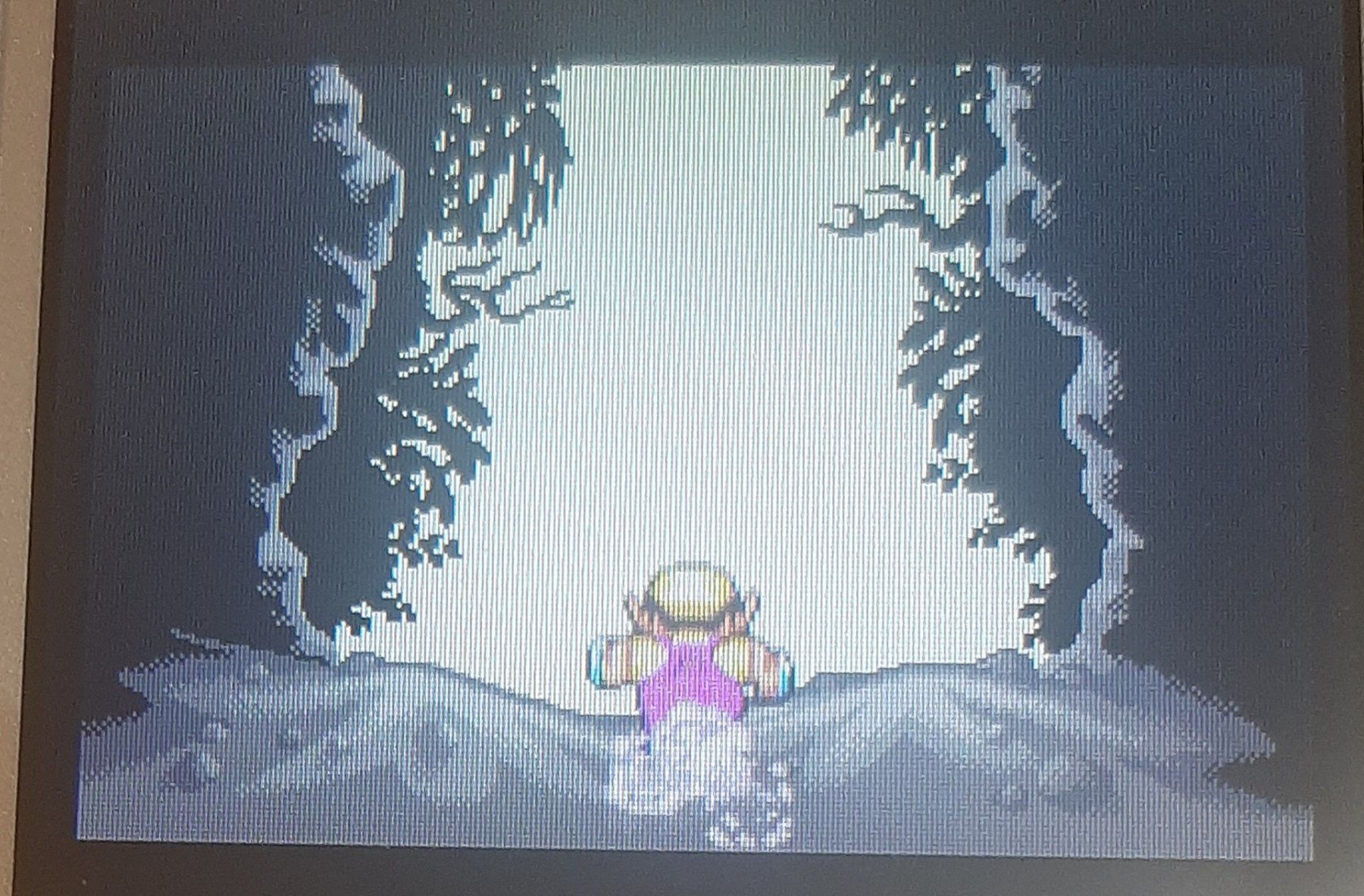 Nintendo Giochi: Wario Land 4 GBA – Usato da urdorf venduto da Boo24 3