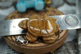 Tigerauge    Schildkröte   Anhänger   ab 1.- Auktion