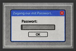 Coole Fussmatte Windows 95 / Passwort