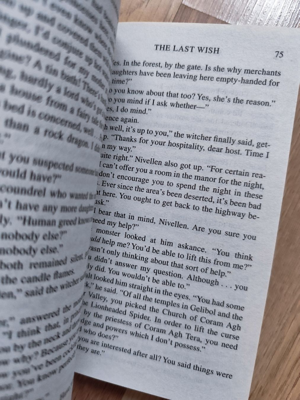 Libri: The Last Wish (The Witcher) Sapkowski – Usato da Mägenwil venduto da VintageGirly 3