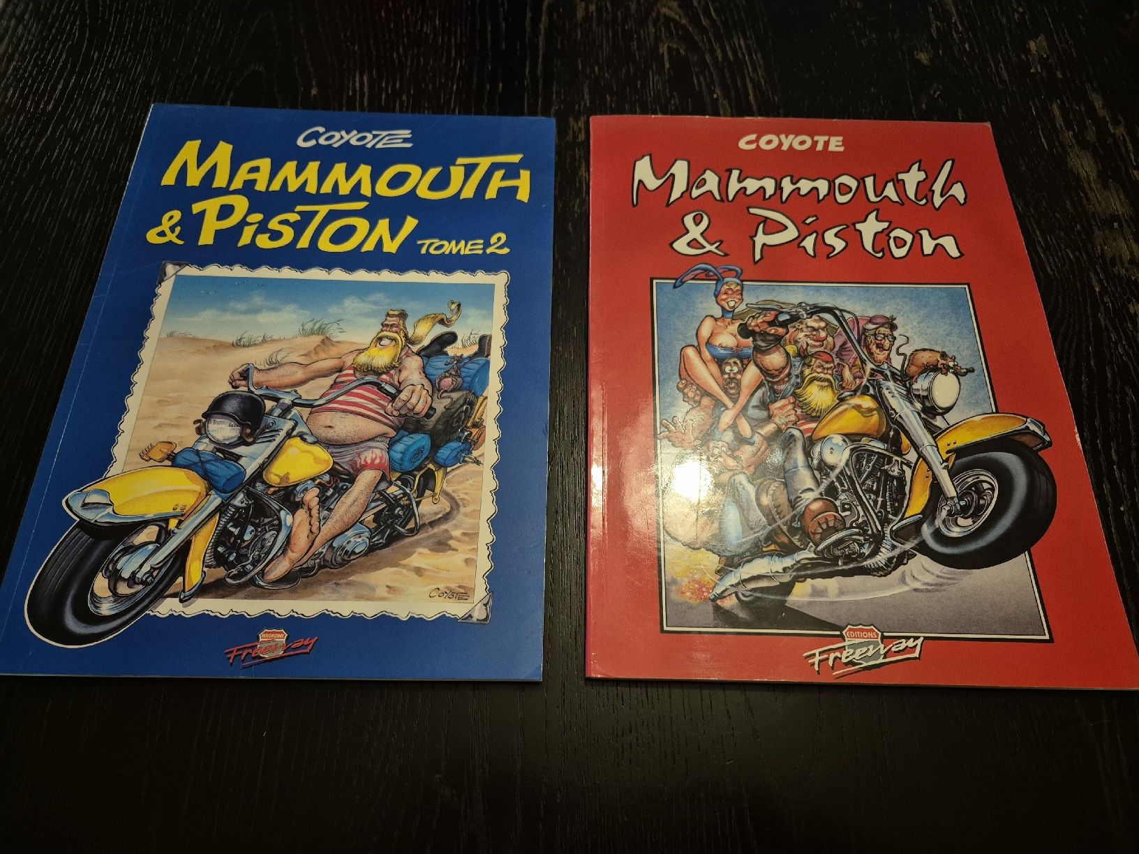Fumetti: BD Harley-Davidson, Mammouth & Piston – Usato da Le Locle venduto da CHEGUA