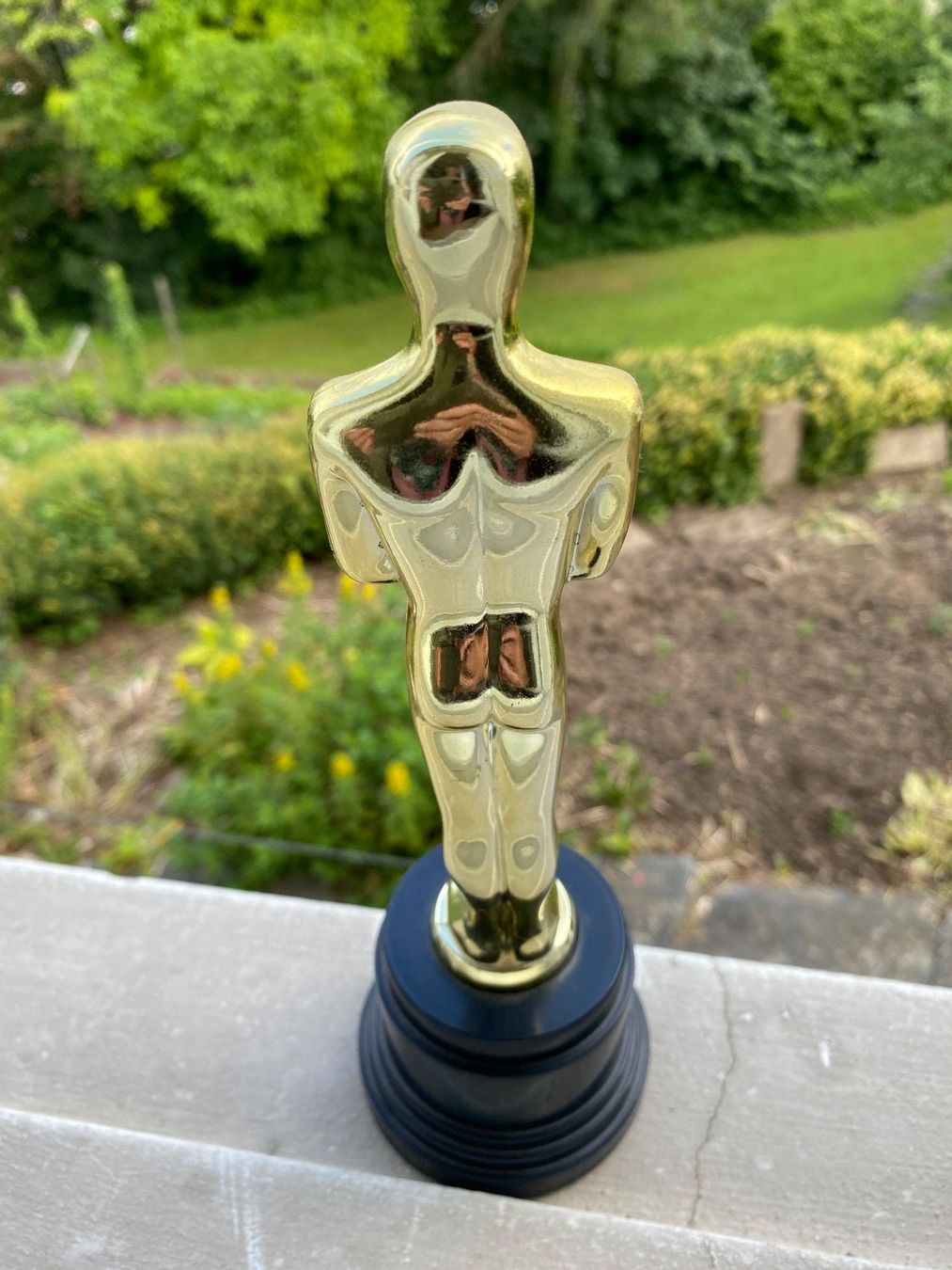 Sculture & Statue: Pokal Intelligenz-Bestie – Usato da Weinfelden venduto da Cheyenne21 2
