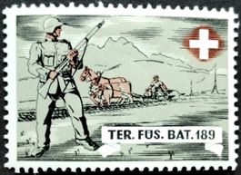 Soldatenmarke 2.WK, Territorial Füsilier Bat 189, Wi Ter 395