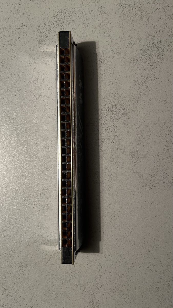 Strumenti musicali: Harmonica Hero vintage – Usato da St-Blaise venduto da Marc_zipper 2