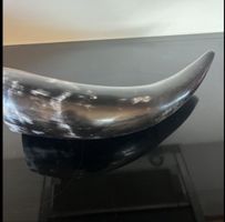 Grosses Horn Deko 43cm