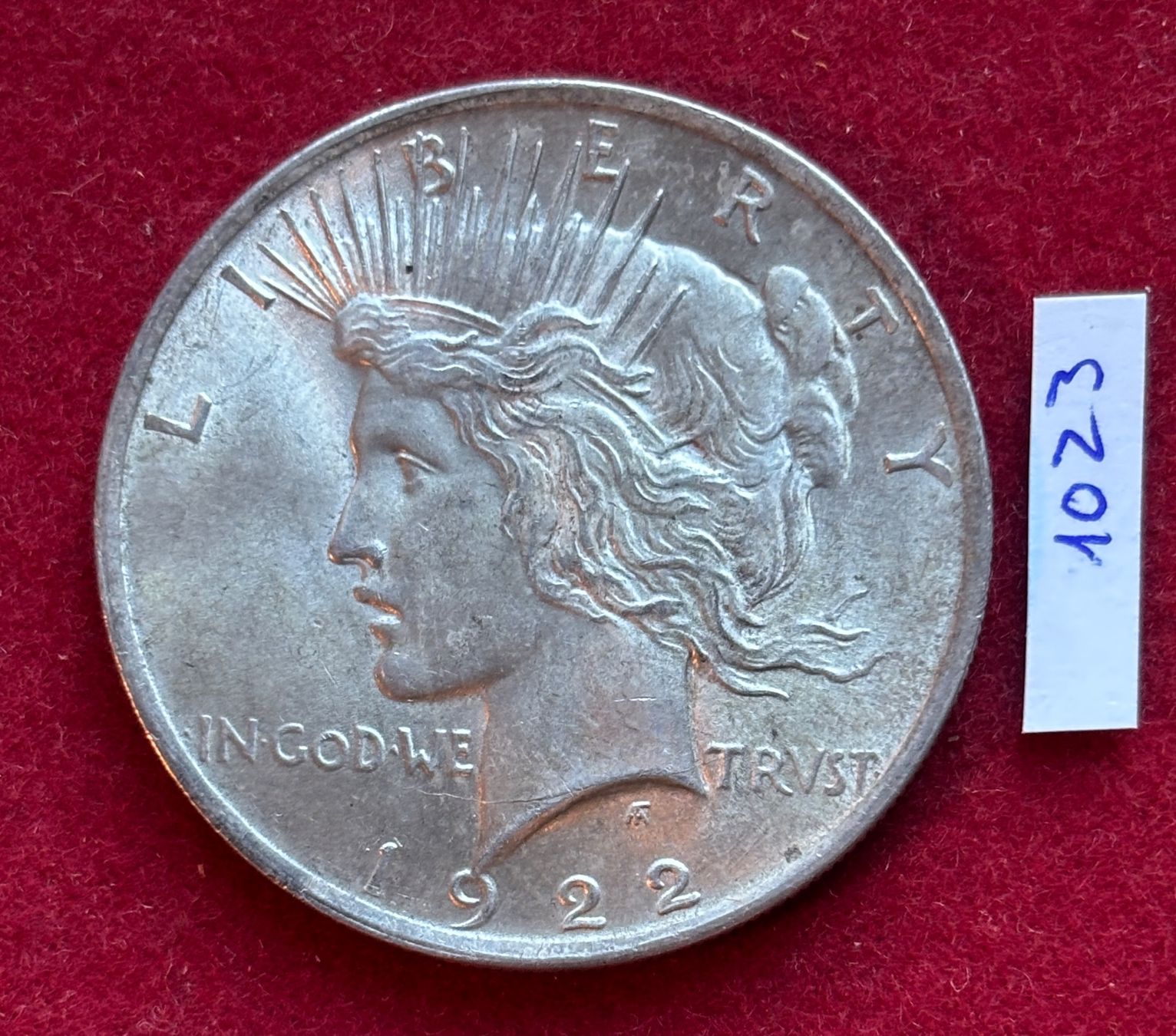 Tutti le monete: 1023 1 Dollar 1922 Silber USA – Usato da Baar venduto da bricksandmore