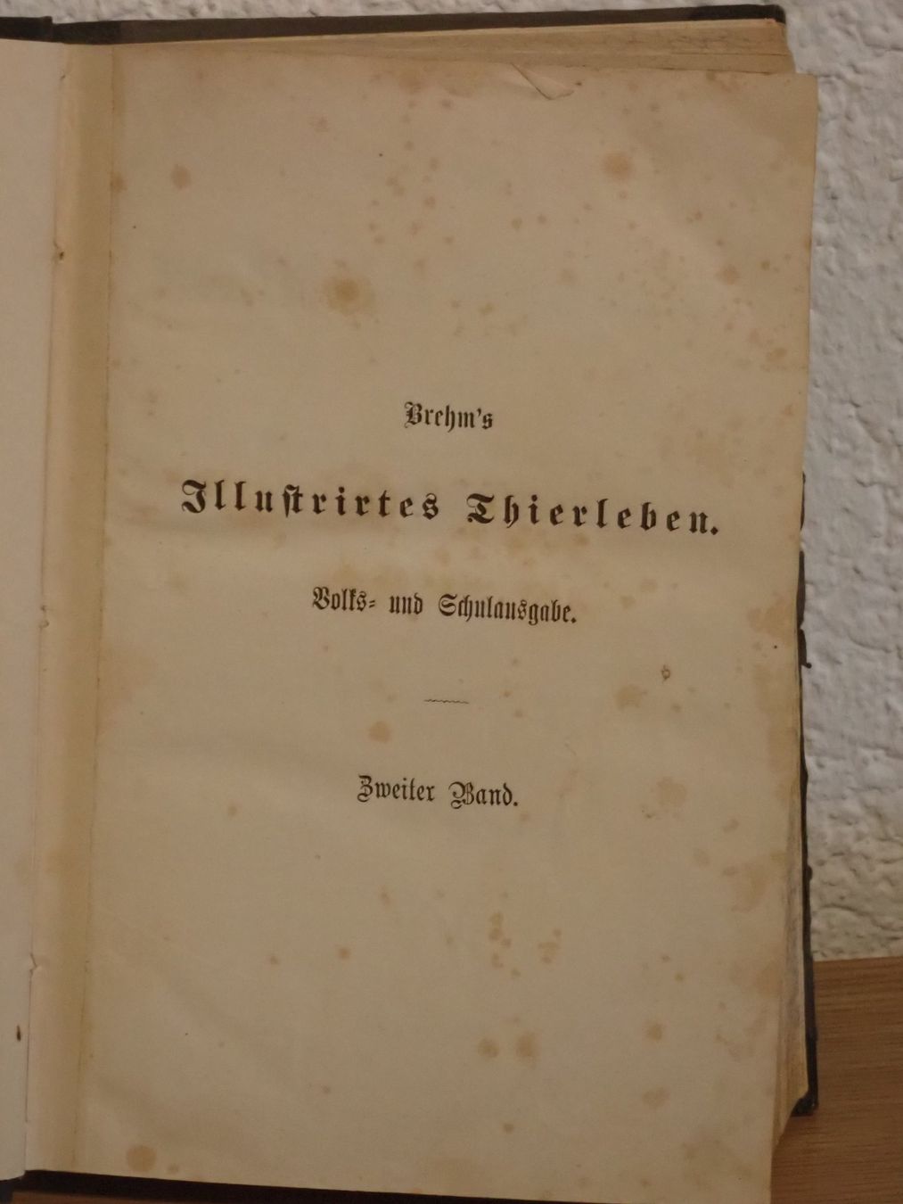 Bücher: Antik  "Brem`s Illustriertes Thierleben", 1860 – Gebraucht aus Winterthur von Minerva_59 3