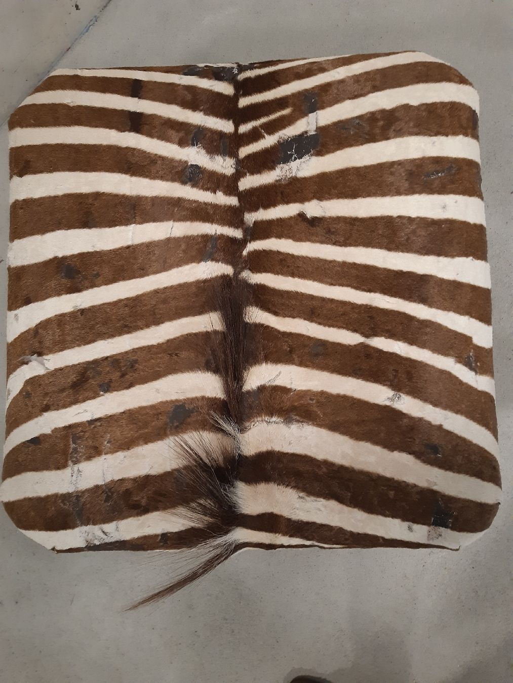 Sgabelli: Hocker mit einem Bezug aus echtem Zebrafell – Usato da Spiegel b. Bern venduto da hopplas