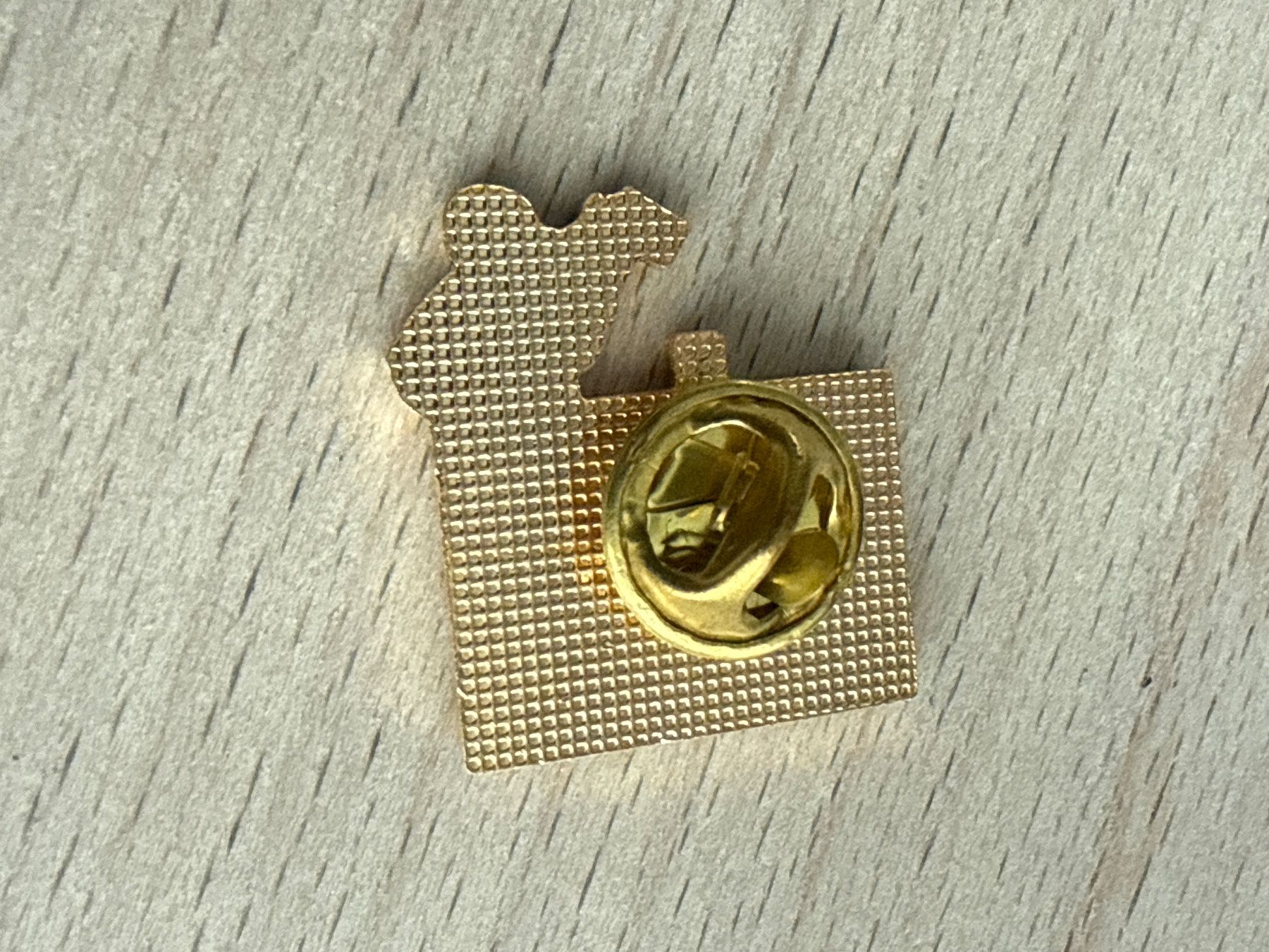 Placchette & Badge: Pin CASH – Usato da Glattbrugg venduto da Schweigmatt 1