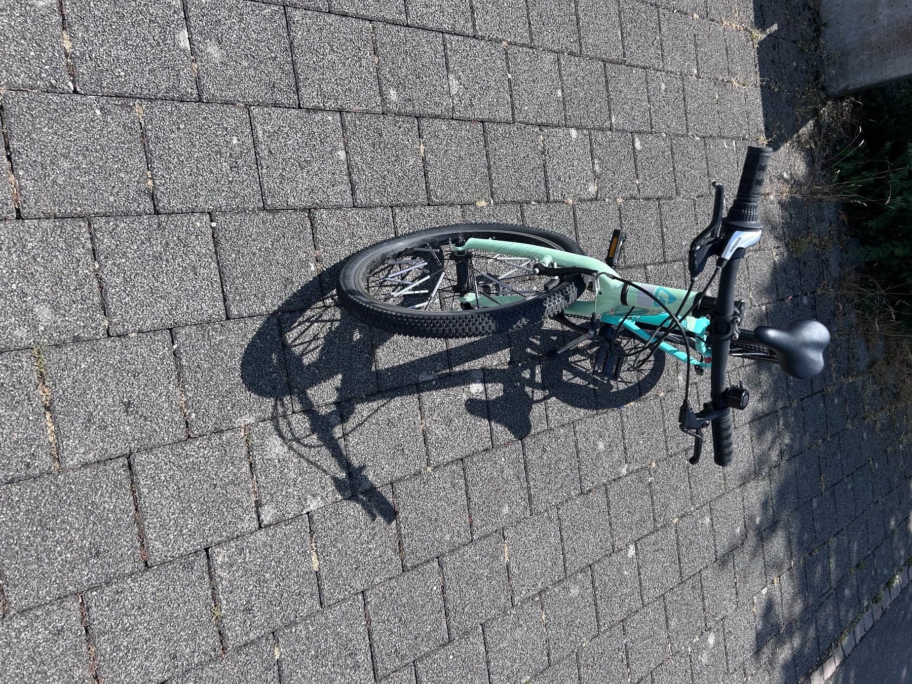 Crosswave Biciclette: Crosswave Prime Rider 20 -Zoll – Usato da Wiesendangen venduto da dor_mh2m