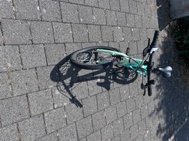 Crosswave Prime Rider 20 -Zoll