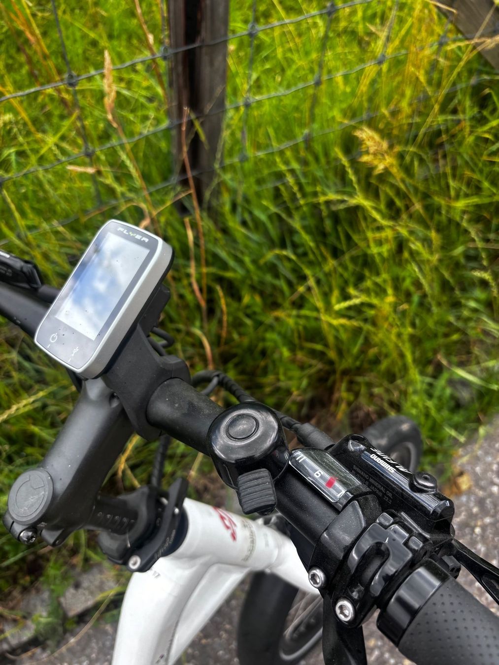 Flyer Biciclette: Flyer Flogo E-Bike 20 Zoll – Difettoso da Uetikon am See venduto da Interceptor05 2