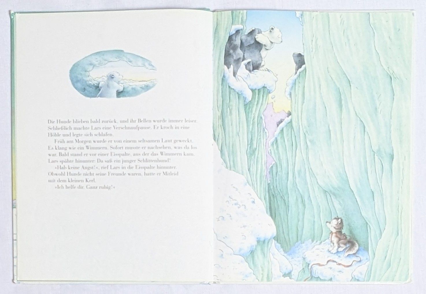 Libri: 2X Bücher - Kleiner Eisbär - Hans de Beer – Usato da Wängi venduto da ABIZONE-86 1