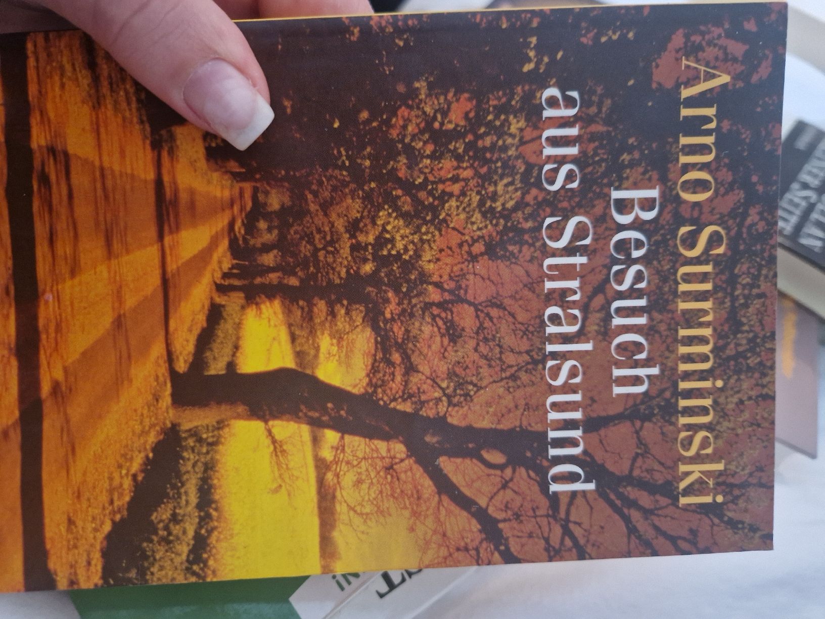 Libri: 5 div Bücher,romane, erzählungen – Nuovo (secondo la descrizione) da Ebikon venduto da kov_9vqb 5