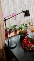 Schreibtischlampe, Architektenlampe, schwarz, Top Zustand!