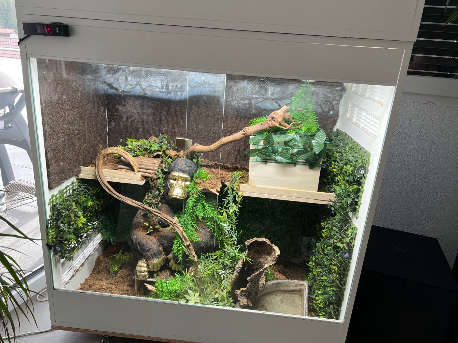 Terrarium: Terrarium 120x60x120 full complet – Gebraucht aus Oleyres von  2