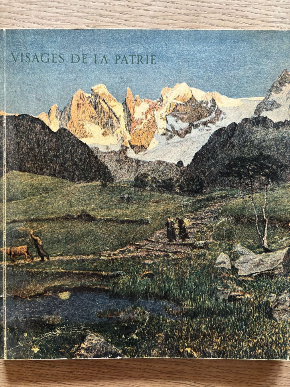 Libri: Visages de la Patrie – Usato da Urnäsch venduto da Vorrolli
