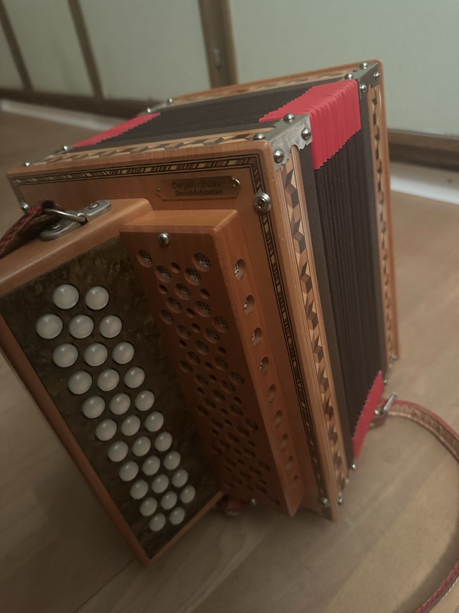 Strumenti musicali: Zanin Örgeli – Usato da Langenthal venduto da d_Alasser 2