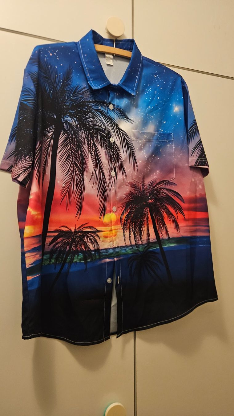 Camicie: Camicia uomo tg.L poliestere "spiaggia" – Usato da Melano venduto da H-Sara