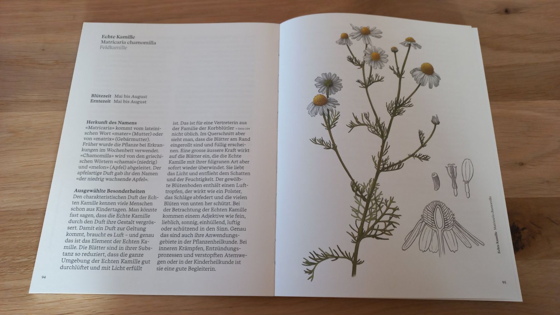 Bücher: Buch Heilpflanzen am Wegesrand entdecken – Gebraucht aus Luthern von JanK_ 3