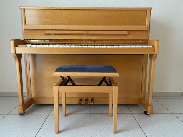 Strumenti musicali: Klavier – Usato da Hünenberg See venduto da rowild 1