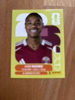 Panini Sticker QAT 11