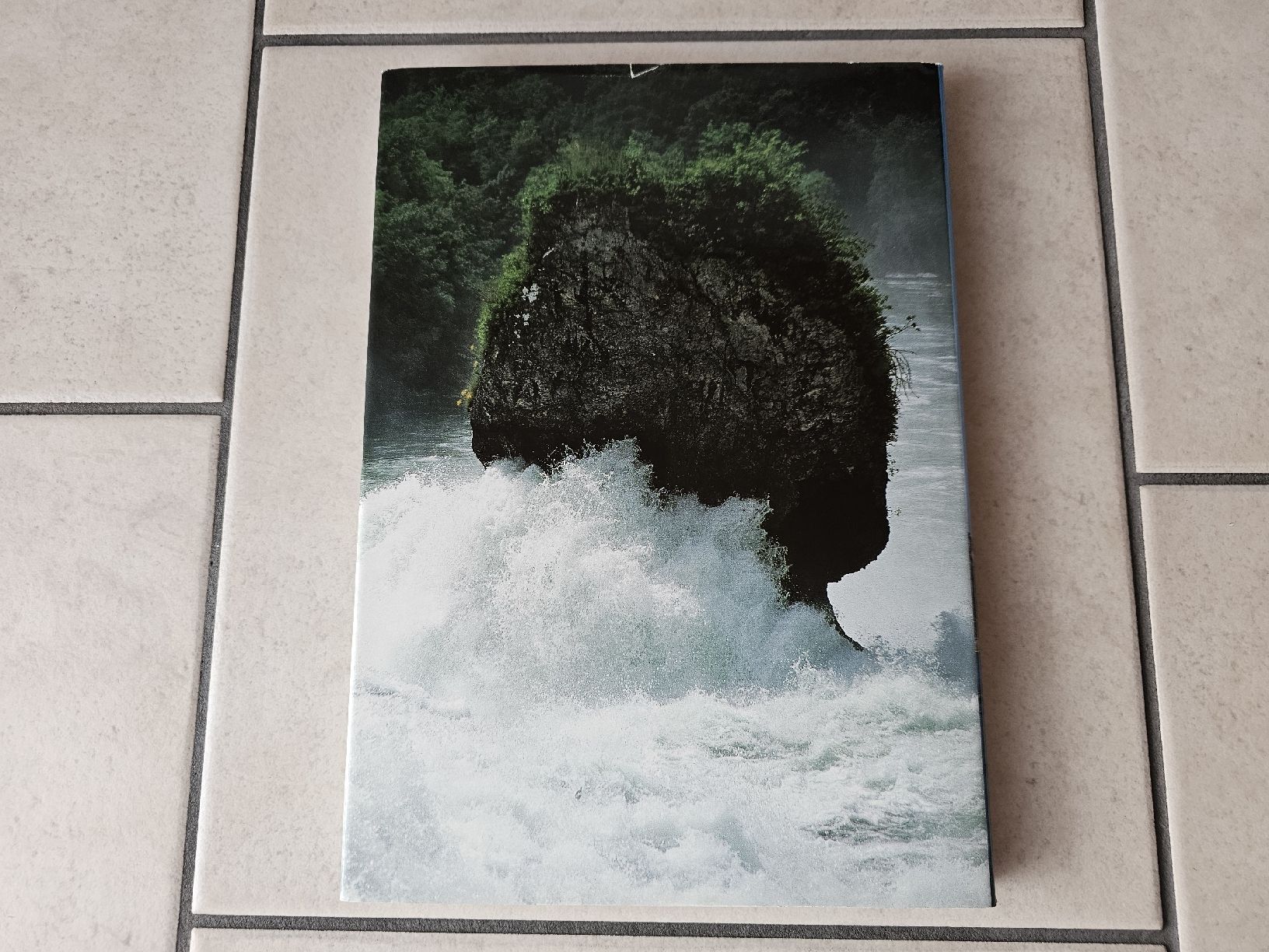 Libri: Der Rhein  /  176 Seiten – Usato da Schneisingen venduto da backstore24 1