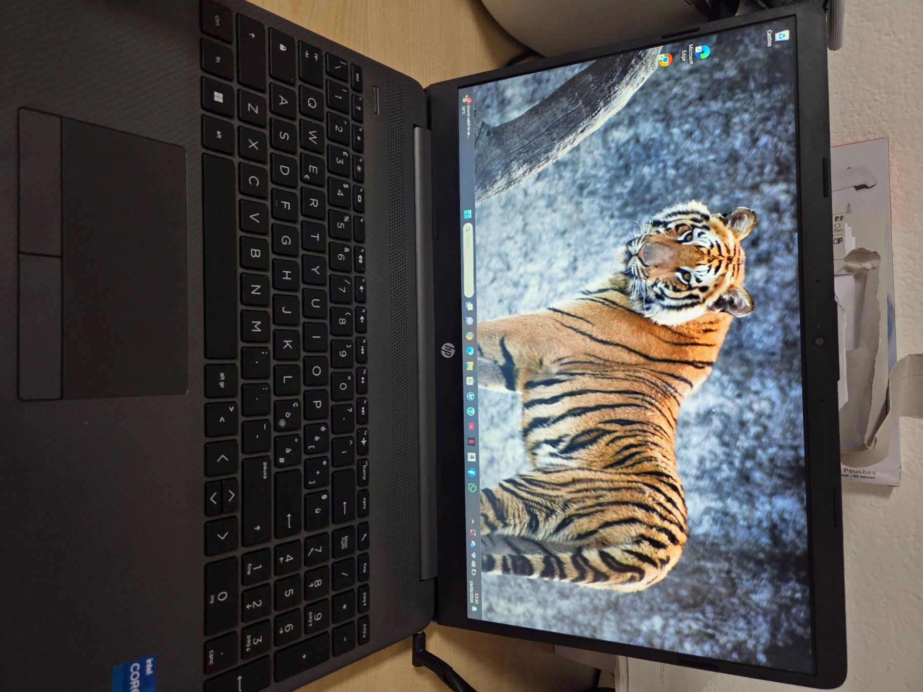 PCs: Pc causa inutilizzo – Gebraucht aus Cadenazzo von sij_lgf7