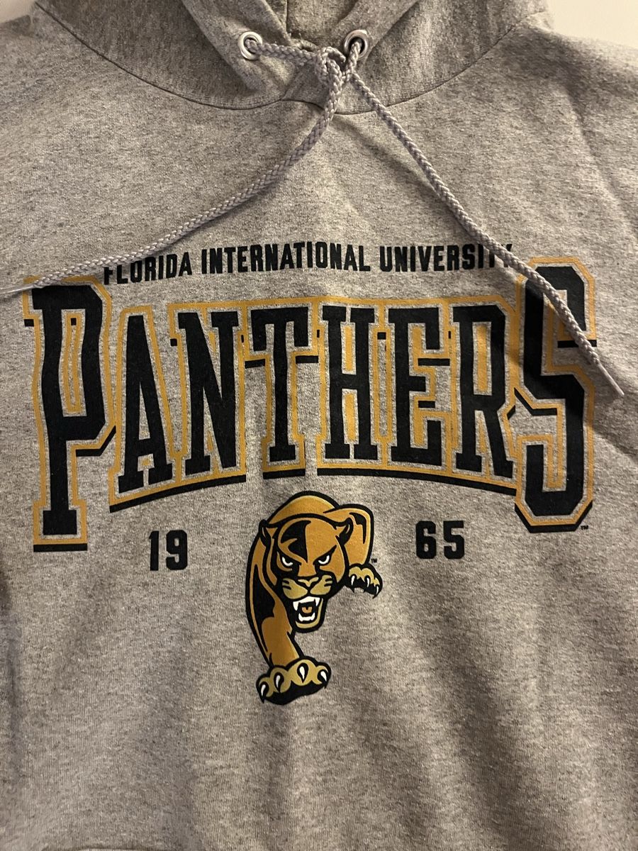 Champion Maglioni & Felpe: FIU Hoodie – Usato da Köniz venduto da jan_xzq9 1