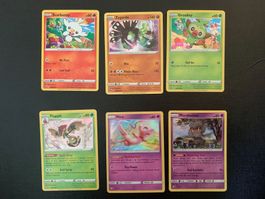 Holo Pokémon 2019/2020