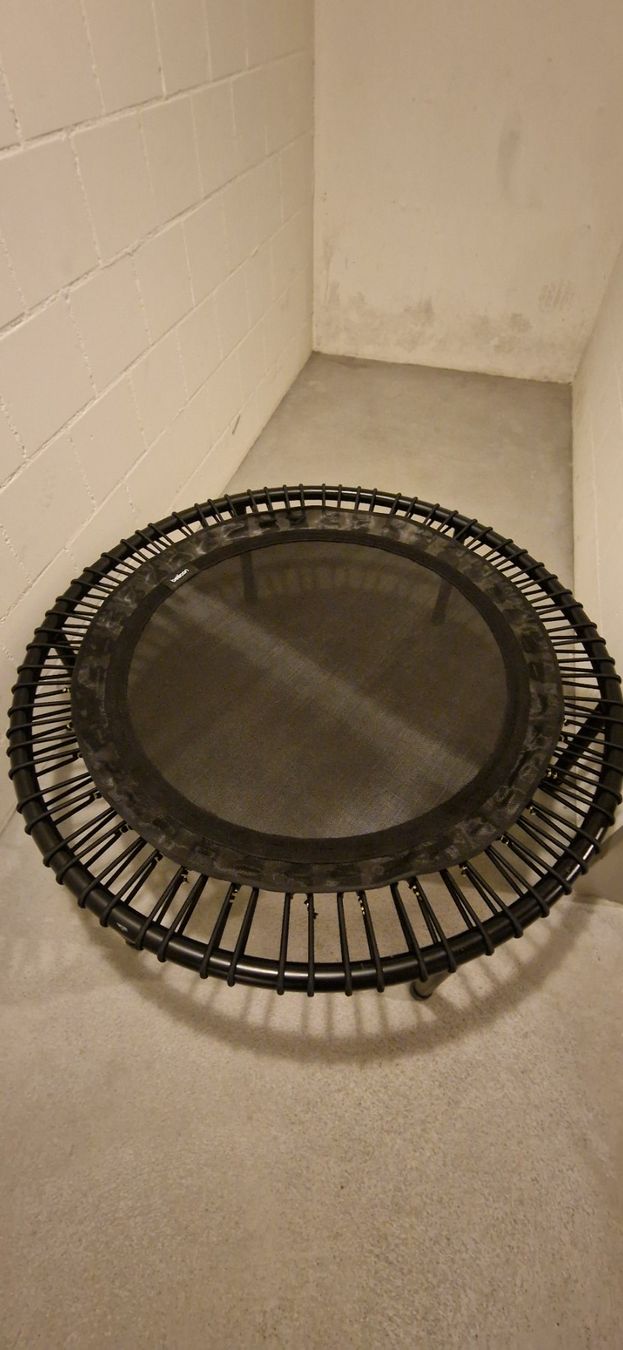 Bellicon Trampolini: Bellicon Trampolin, neue Matte – Nuovo (secondo la descrizione) da Winterthur venduto da Tulipane