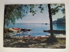 Altenrhein Bodensee, Camping Strandbad, dat, 1964