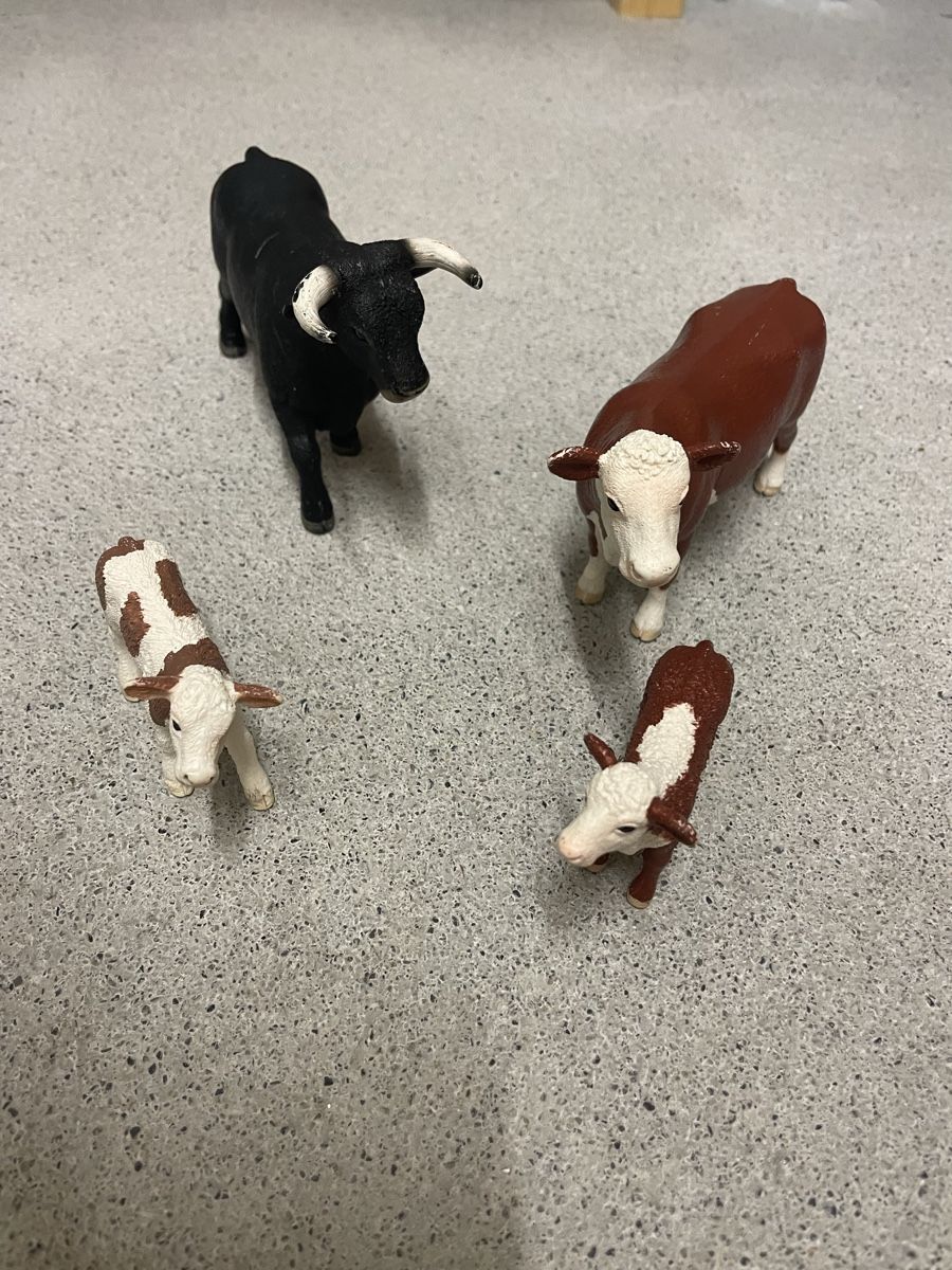 Schleich Statuette: Schleichkühe – Usato da Walchwil venduto da Pirib82