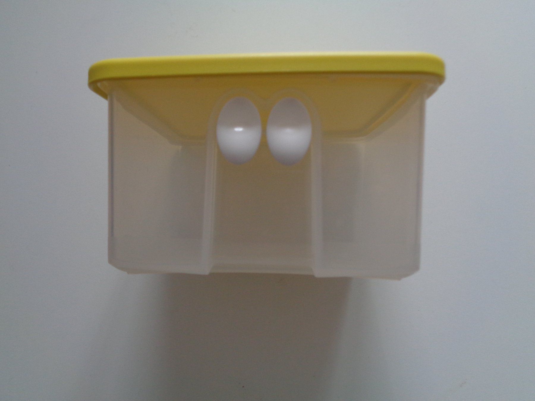 Tupperware Contenitori & Simili: Tupperware Behälter zum Frischhalten – Usato da Dietikon venduto da chroetli77