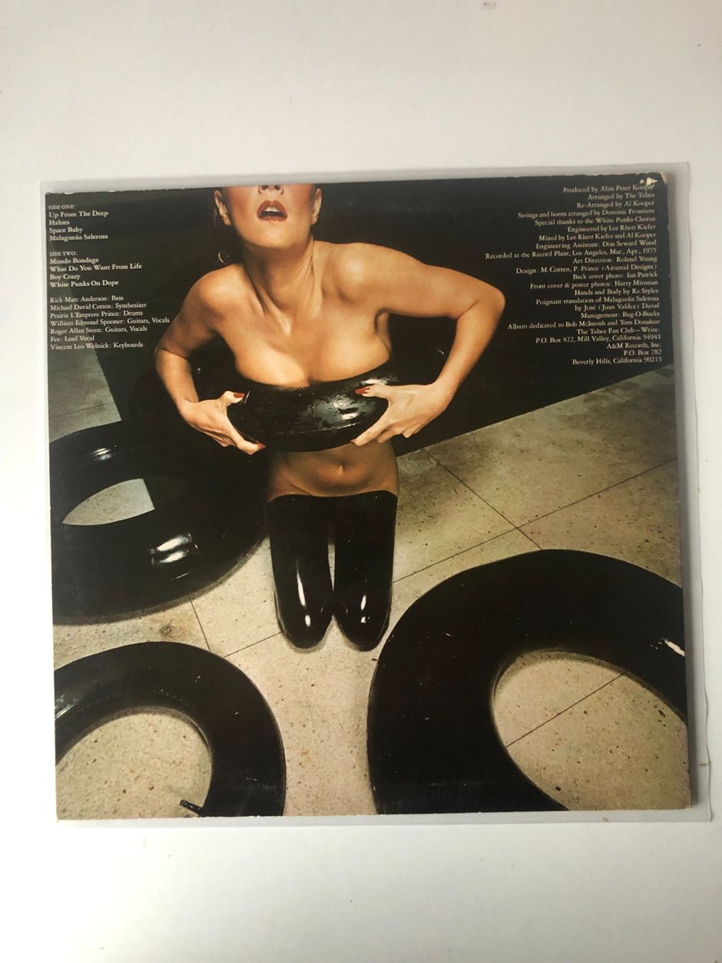 Dischi in vinile: The Tubes – Usato da Aarwangen venduto da Jukebox3 2